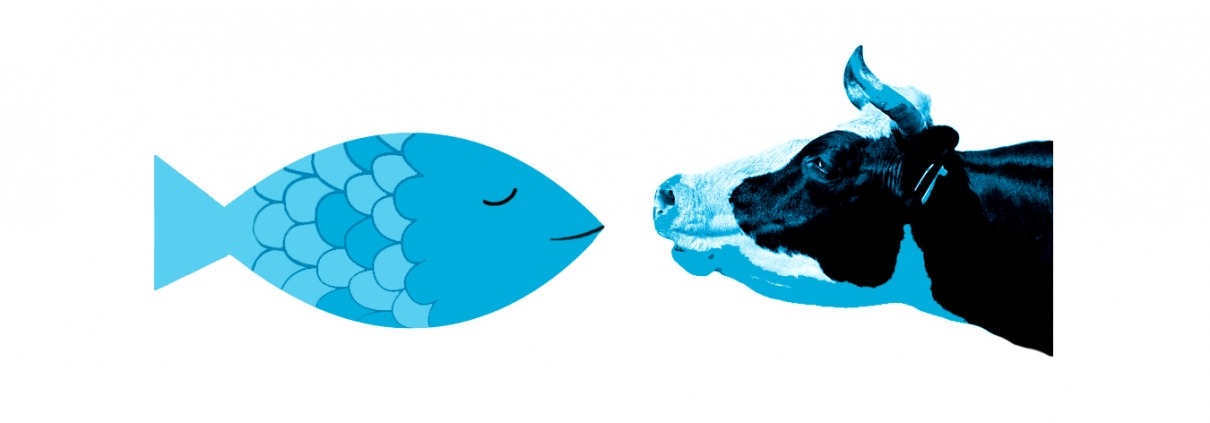 Illustration 2,5D, weder Fisch noch Fleisch