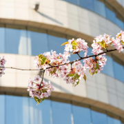 Fruehling-2026-einszueins-digital-3